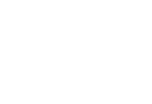 Jain Immigration Law